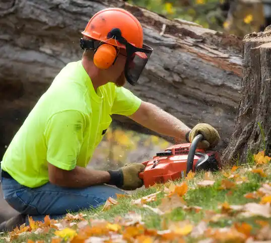 tree services Drakesboro